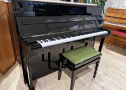 bechstein piano opus 110 zwart 1