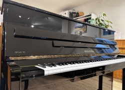 bechstein piano opus 110 zwart 2