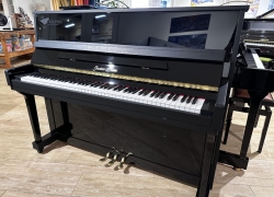 gustav kern piano 116 jubileum z 1