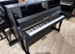 gustav kern piano 116 jubileum z 6