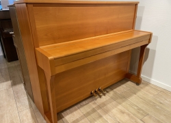 wilhelm steinberg piano in kerse 6