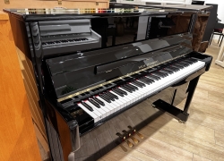 wilhelm steinberg piano iq16 zwa 1