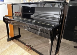 wilhelm steinberg piano iq16 zwa 2