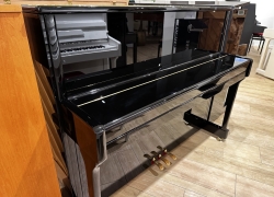 wilhelm steinberg piano iq16 zwa